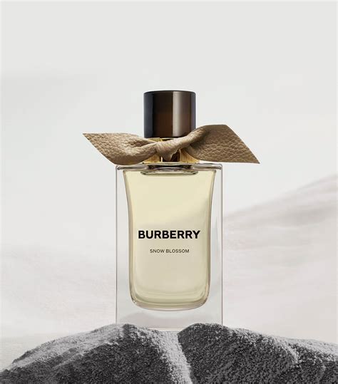 burberry snow blossom perfume|burberry her blossom fragrance.